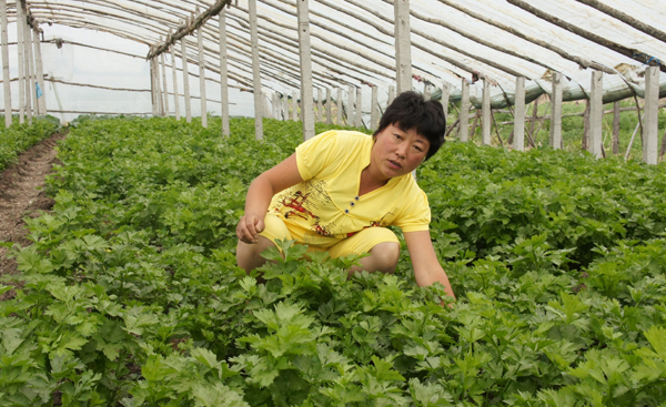 当失败来袭，我选择坚强